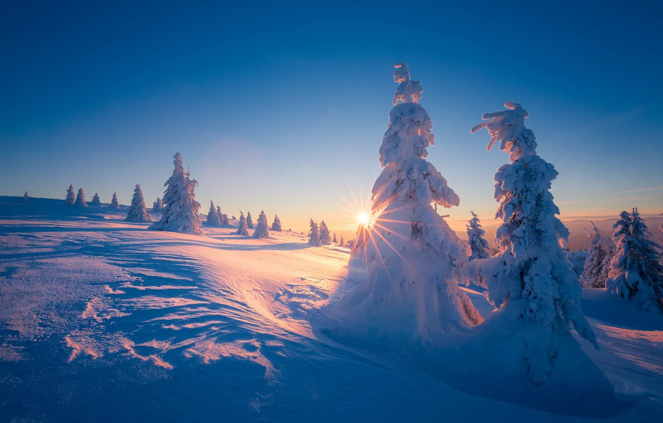 Photo wallpaper winter, the sun, rays, snow, trees, landscape, sunset, mountains, nature, ate, slope, Slovakia, Veľká Fatra, …