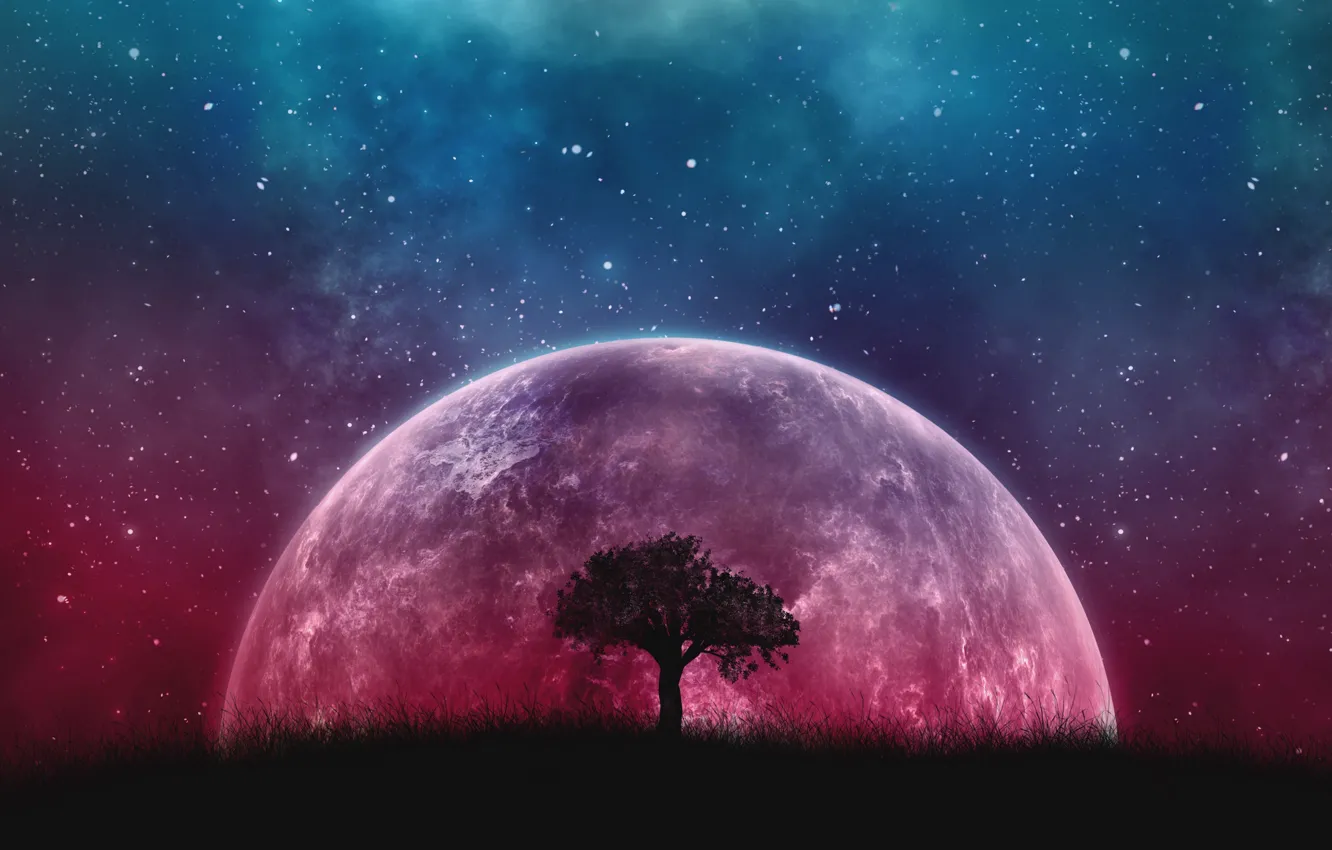 Photo wallpaper Fantasy, Tree, Planet, Stars sky