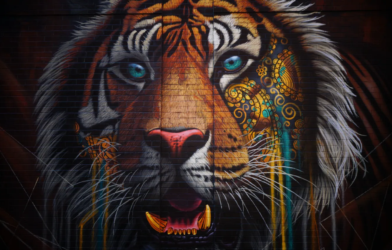 Wallpaper Tiger, Graffiti, Wallpaper images for desktop, section живопись -  download