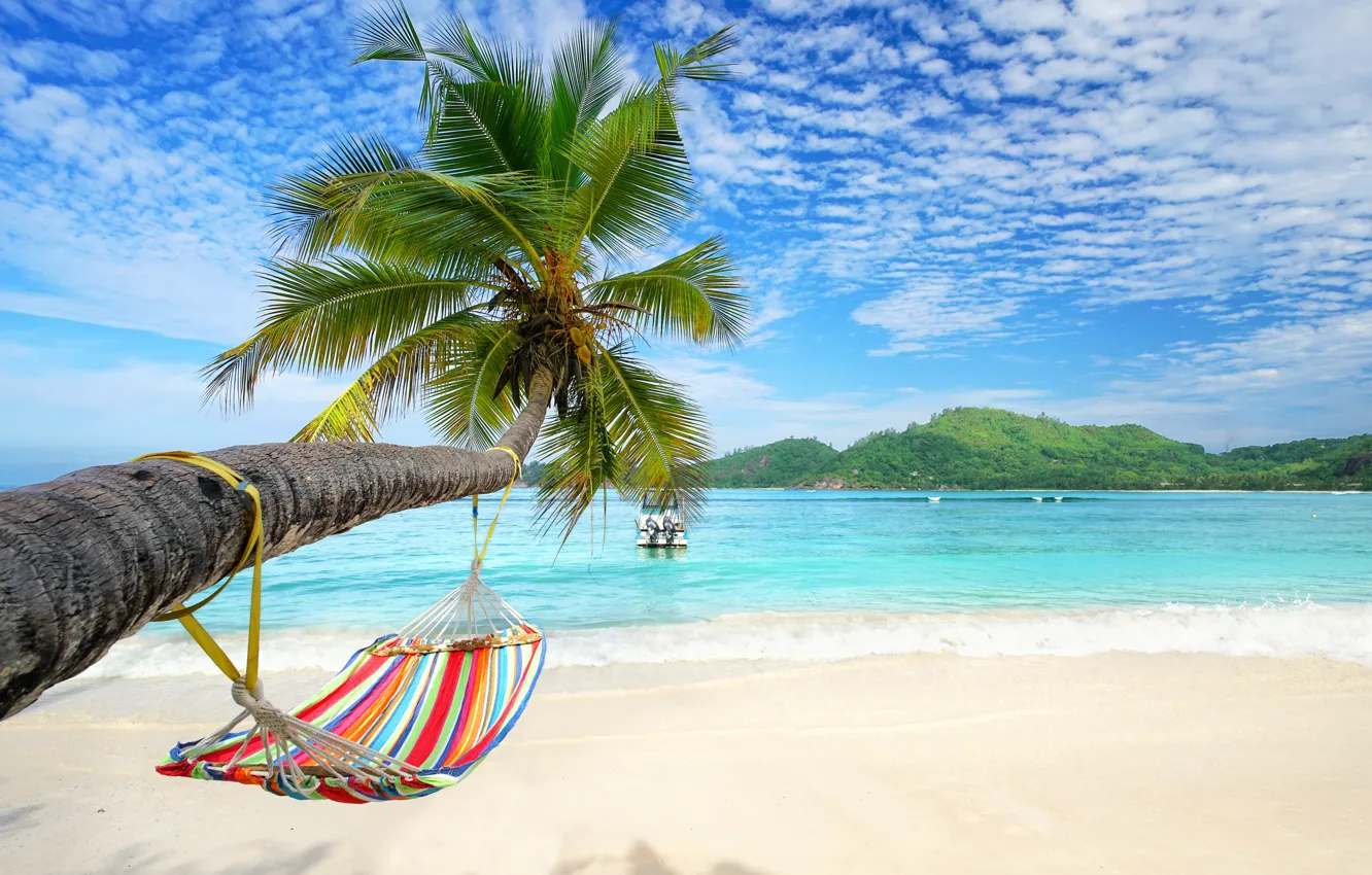 Wallpaper sand, sea, beach, summer, palm trees, hammock, summer, beach ...