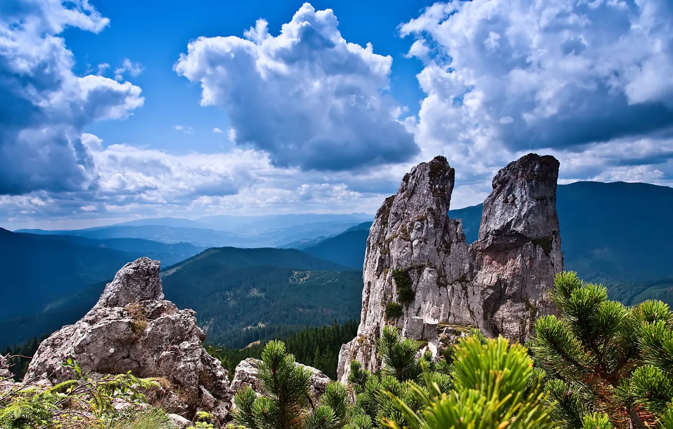 Photo wallpaper sky, trees, mountains, clouds, rocks, landscapes, bushes, stones, plants, Romania, limestone, 4k ultra hd background, …