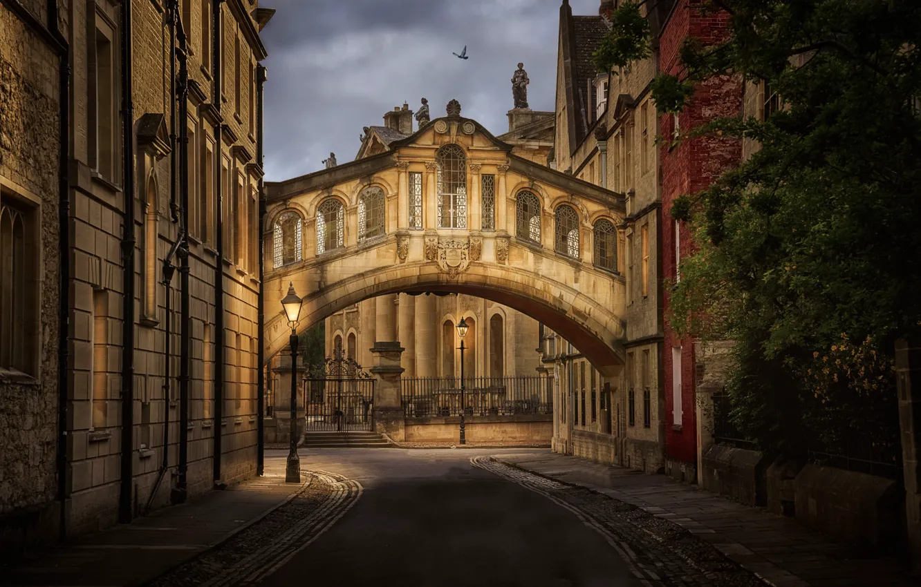 Photo wallpaper England, building, lights, UK, lane, architecture, Oxford, the bridge of sighs, Bridge of Sighs, Hertford …