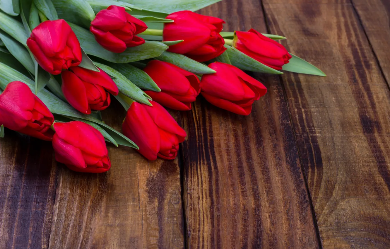 Photo wallpaper flowers, bouquet, tulips, red, red, fresh, wood, flowers, romantic, tulips, spring