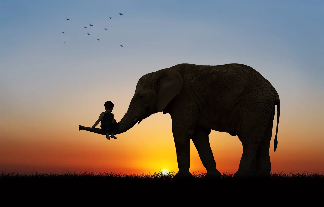Photo wallpaper sunset, birds, elephant, boy, silhouette, friends, child, trunk, photoart