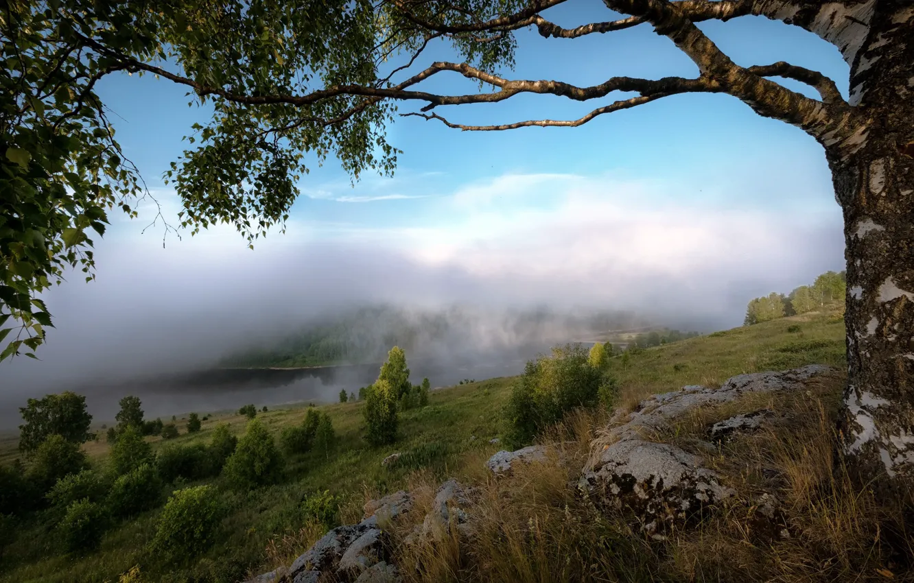 Photo wallpaper clouds, landscape, nature, fog, river, stones, tree, slope, Perm Krai, Andrei, Kosva