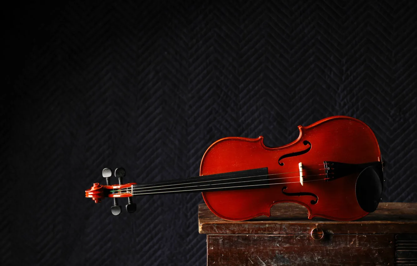 Photo wallpaper music, violin, color