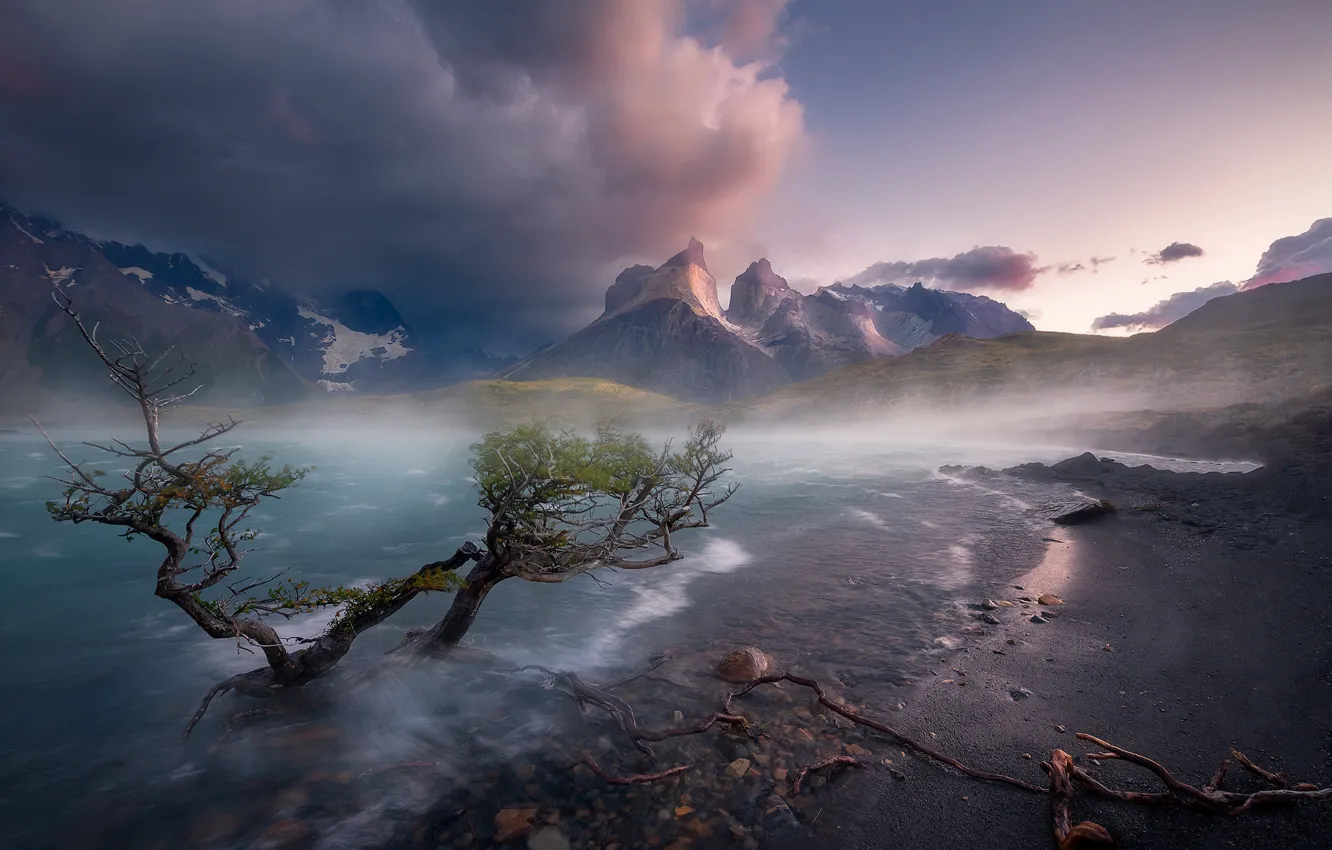 Photo wallpaper mountains, lake, tree, Chile, Chile, Patagonia, Patagonia, Lake Pehoe, Torres del Paine National Park, Torres …
