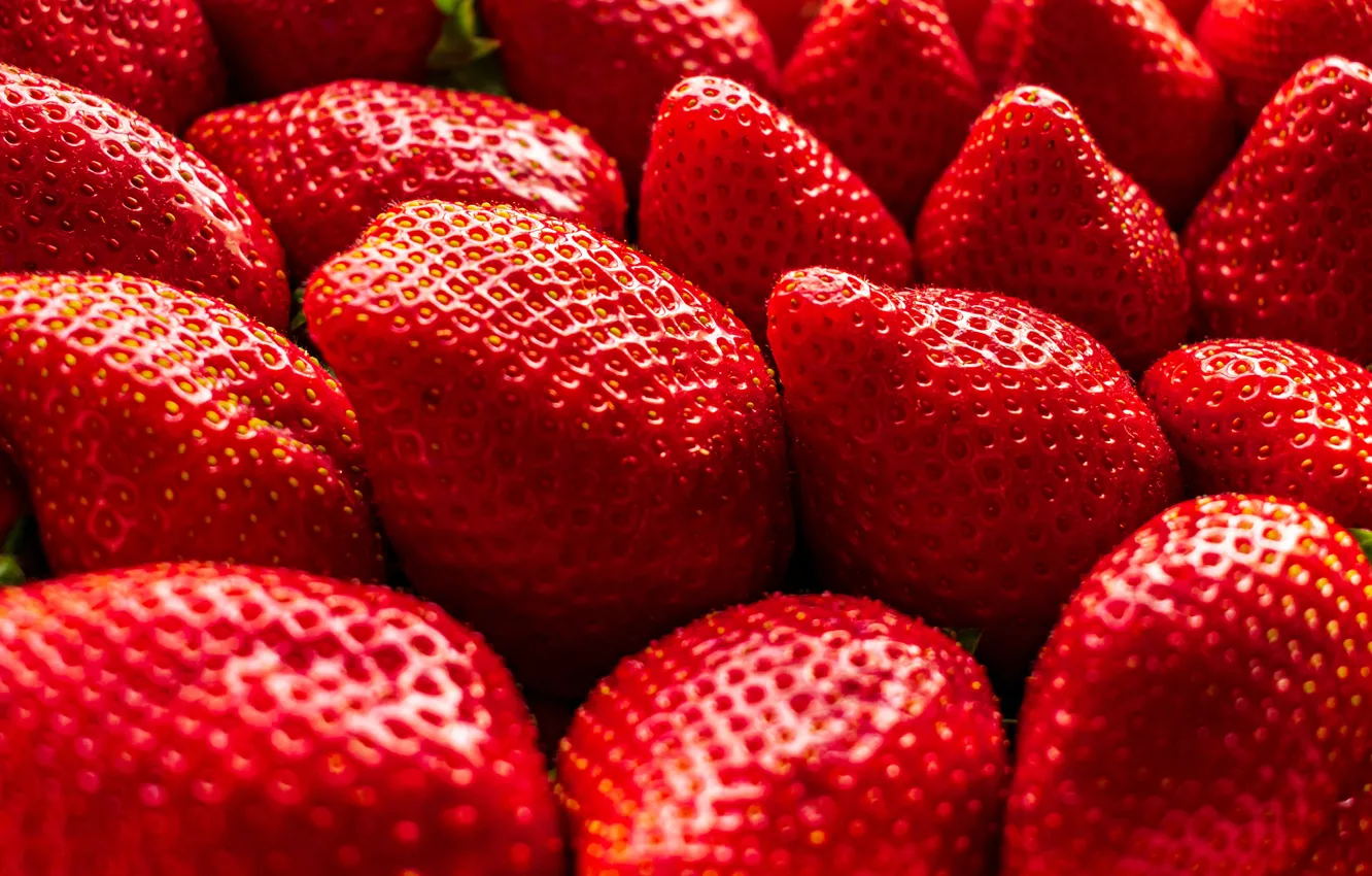 Photo wallpaper berries, strawberry, macero
