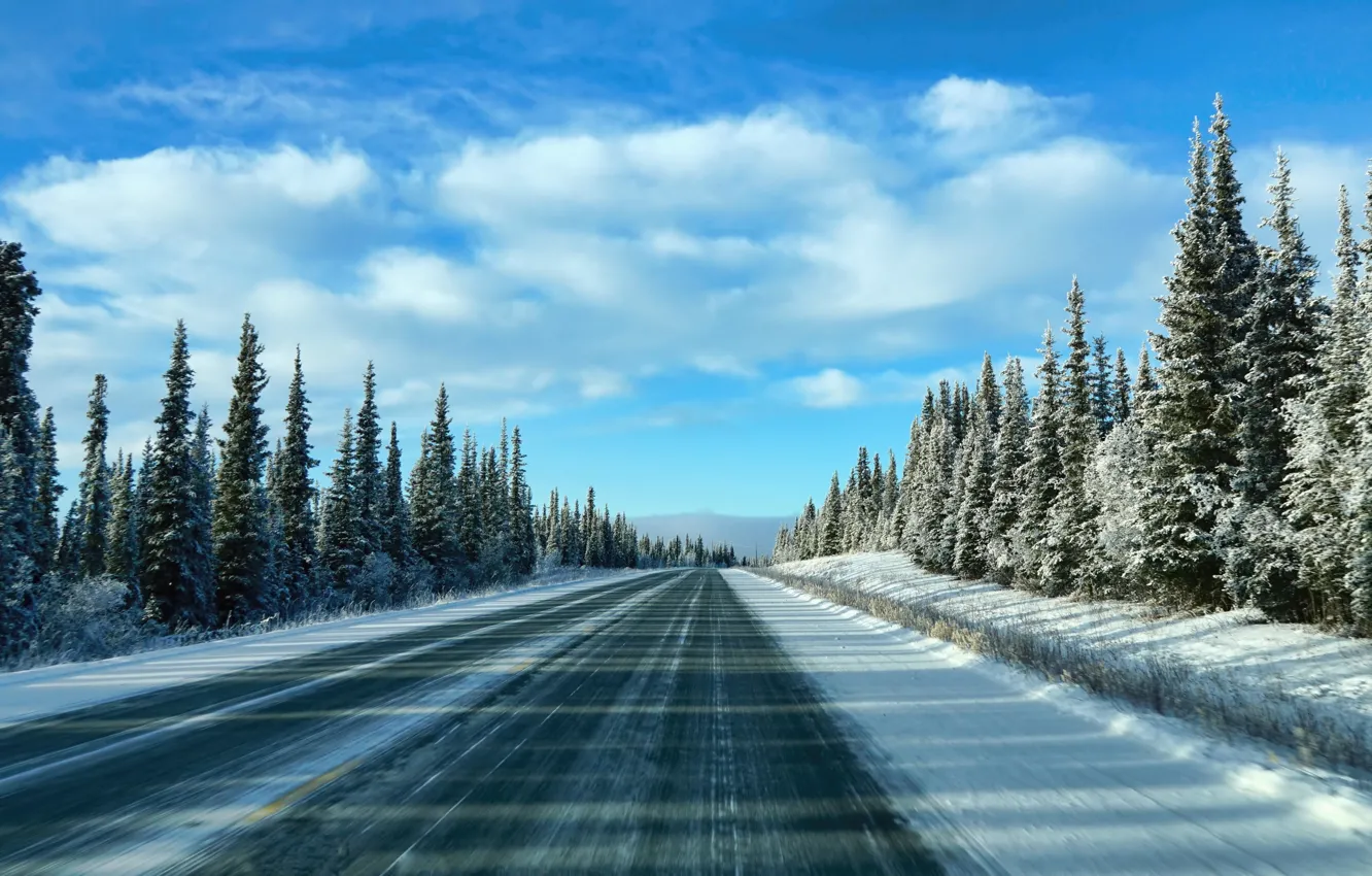 Photo wallpaper winter, road, the sky, snow, trees, morning, ate, sky, trees, winter, clouds, snow, morning, spruce