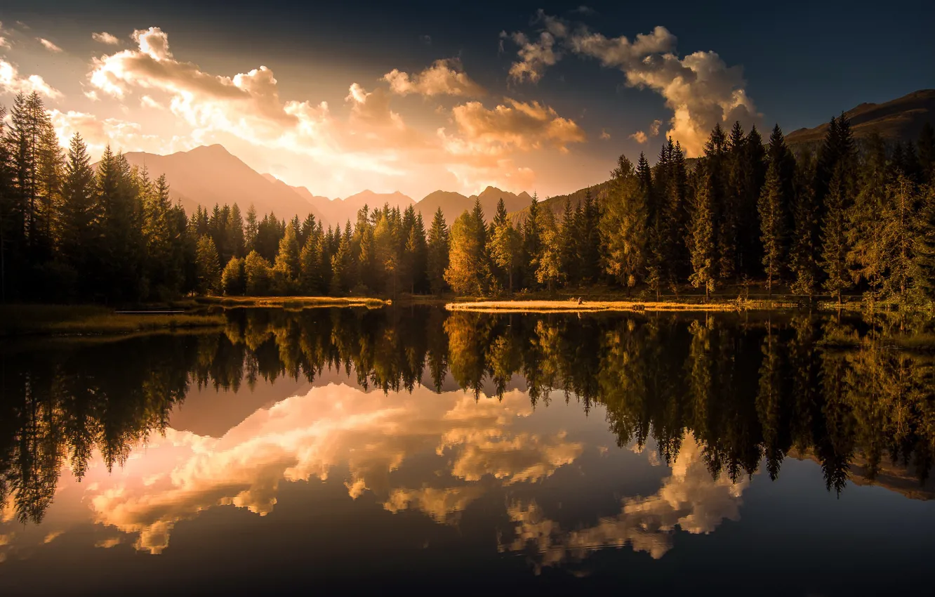 Wallpaper forest, sunset, lake images for desktop, section пейзажи ...