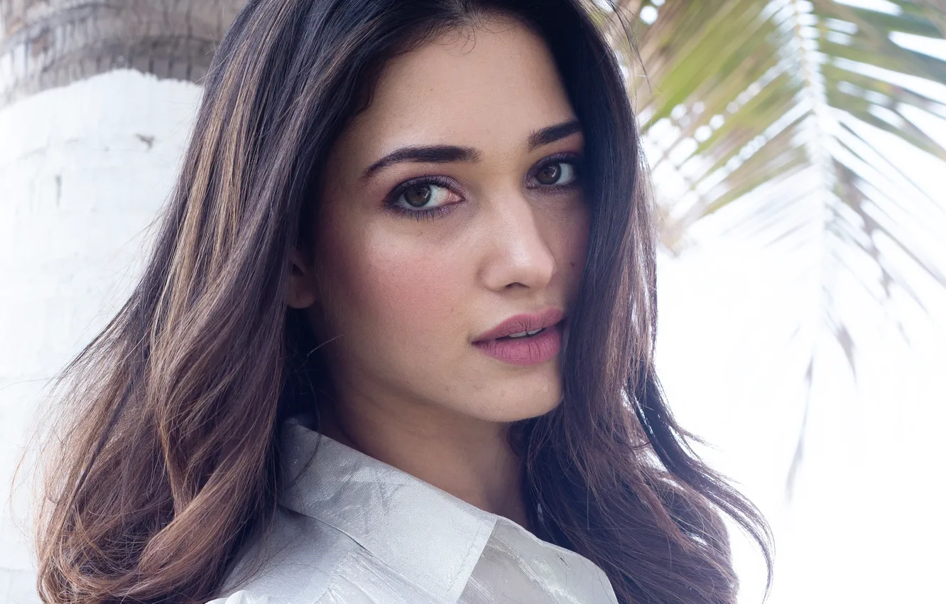 Wallpaper girl, Smile, beautiful, model, Eyes, lips, face, hair, brunette,  indian, actress, celebrity, bollywood, makeup, Tamanna Bhatia images for  desktop, section девушки - download