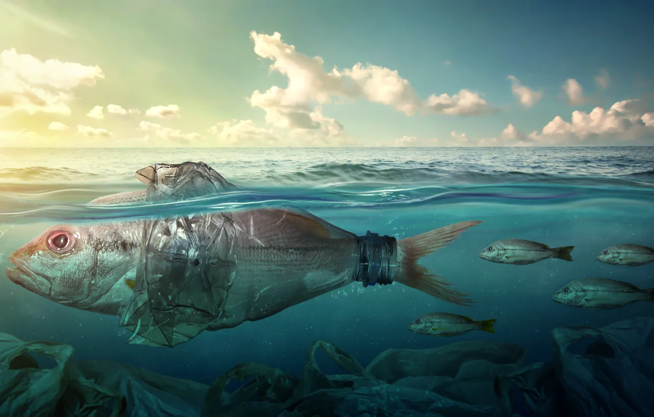 Photo wallpaper sea, fish, garbage, the ocean, bottle, pollution, fish, plastic, sea, ocean, fish, packages