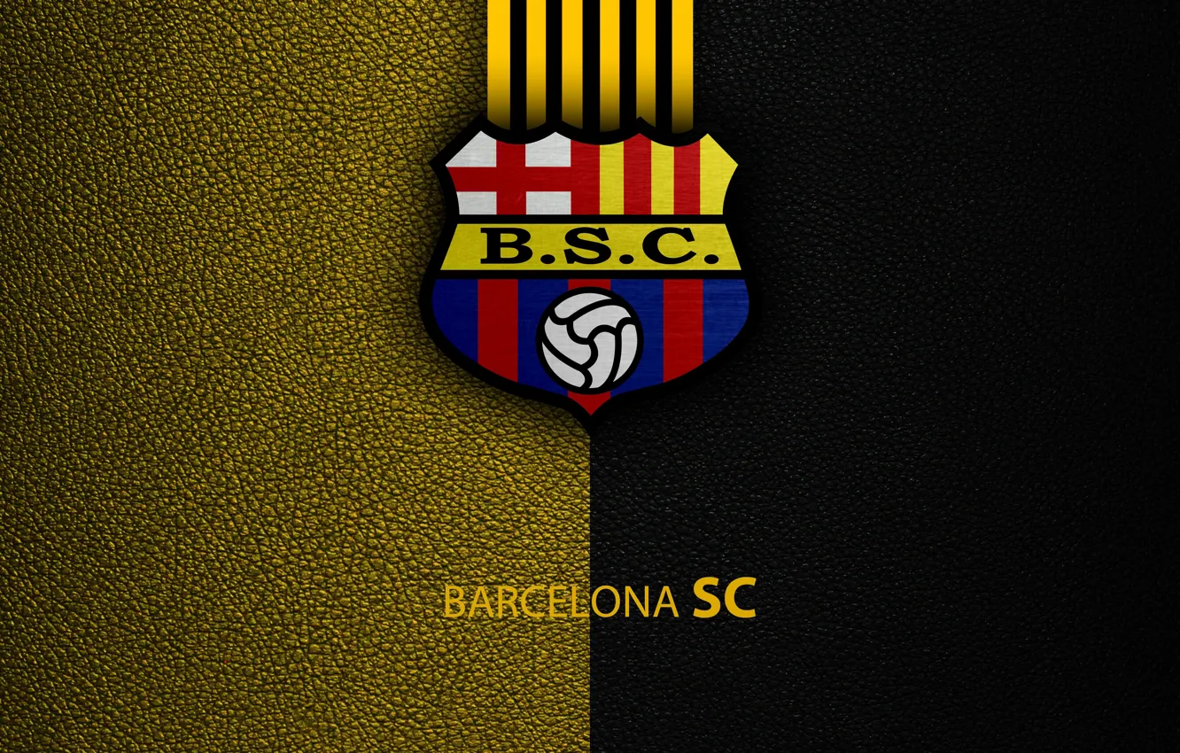 Wallpaper wallpaper, sport, logo, football, Barcelona SC images for desktop,  section спорт - download