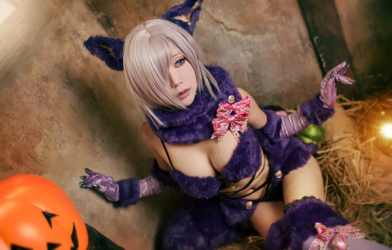 Photo wallpaper cat, purple, chest, look, girl, light, face, pose, style, background, feet, wall, makeup, blonde, costume, …