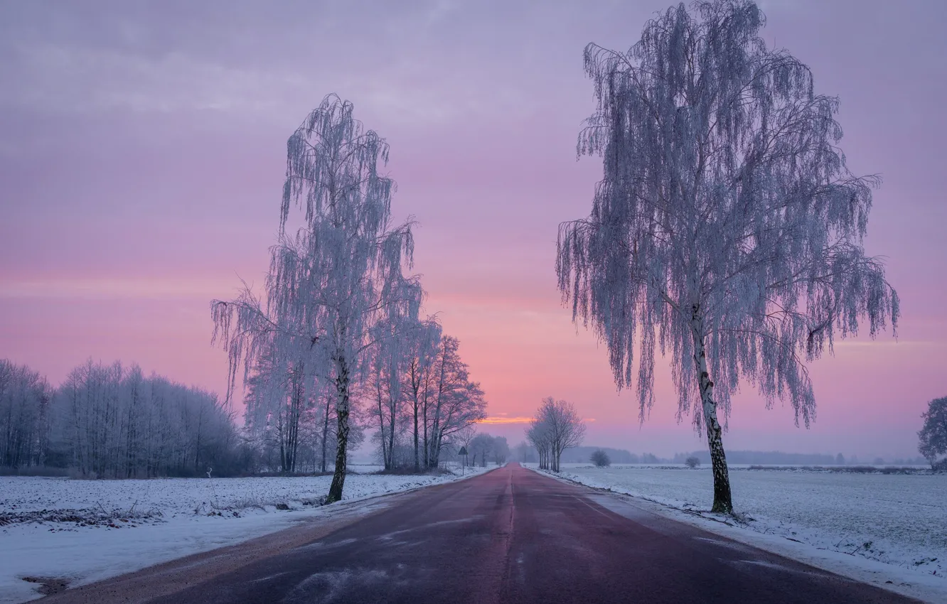 Photo wallpaper winter, road, field, snow, trees, dawn, morning, Poland, frost