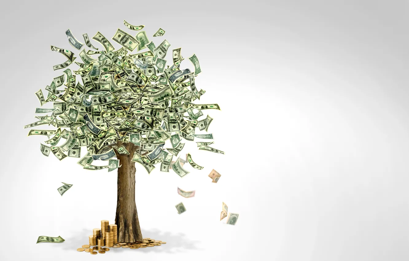 Photo wallpaper tree, money, currency