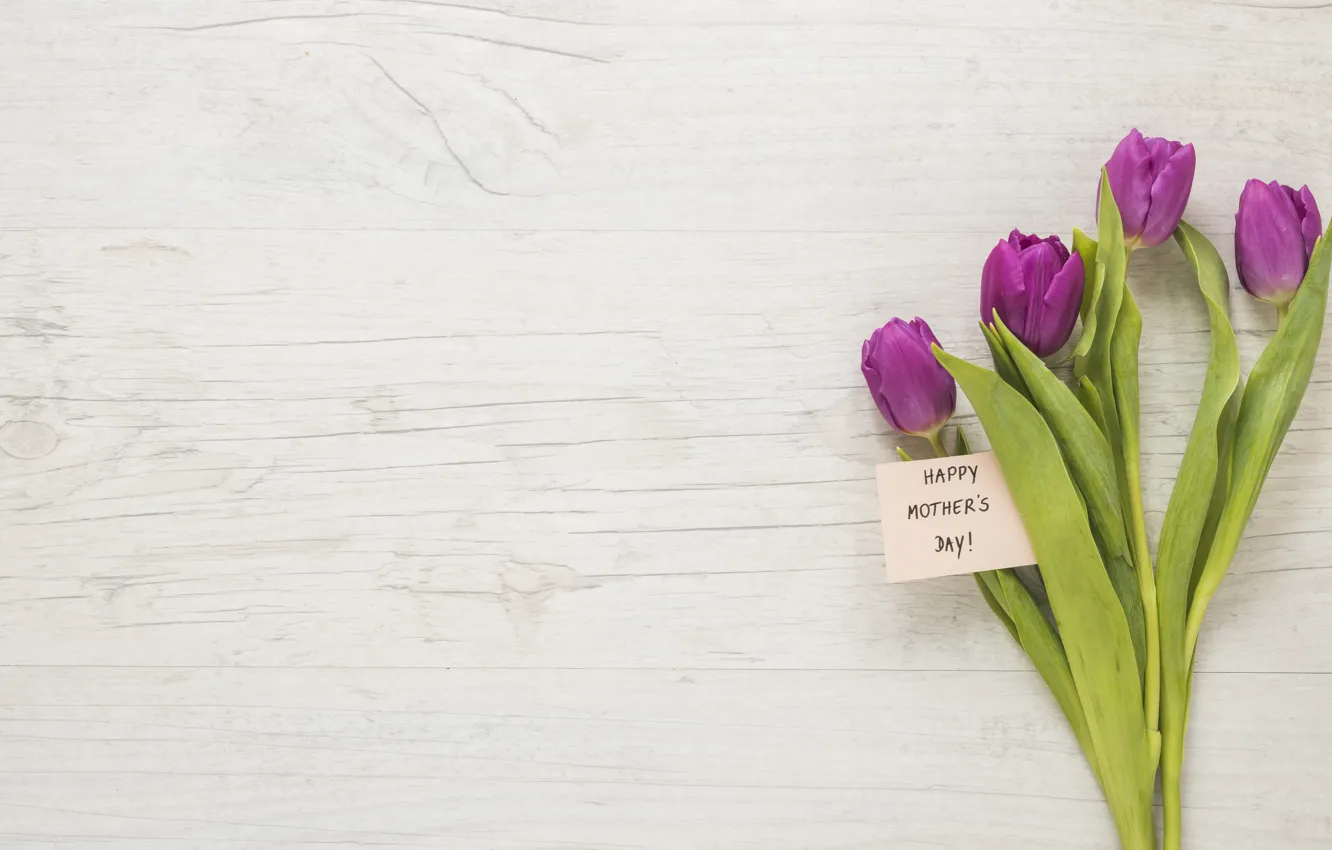 Wallpaper flowers, bouquet, tulips, happy, flowers, tulips, purple, mother's  day images for desktop, section праздники - download