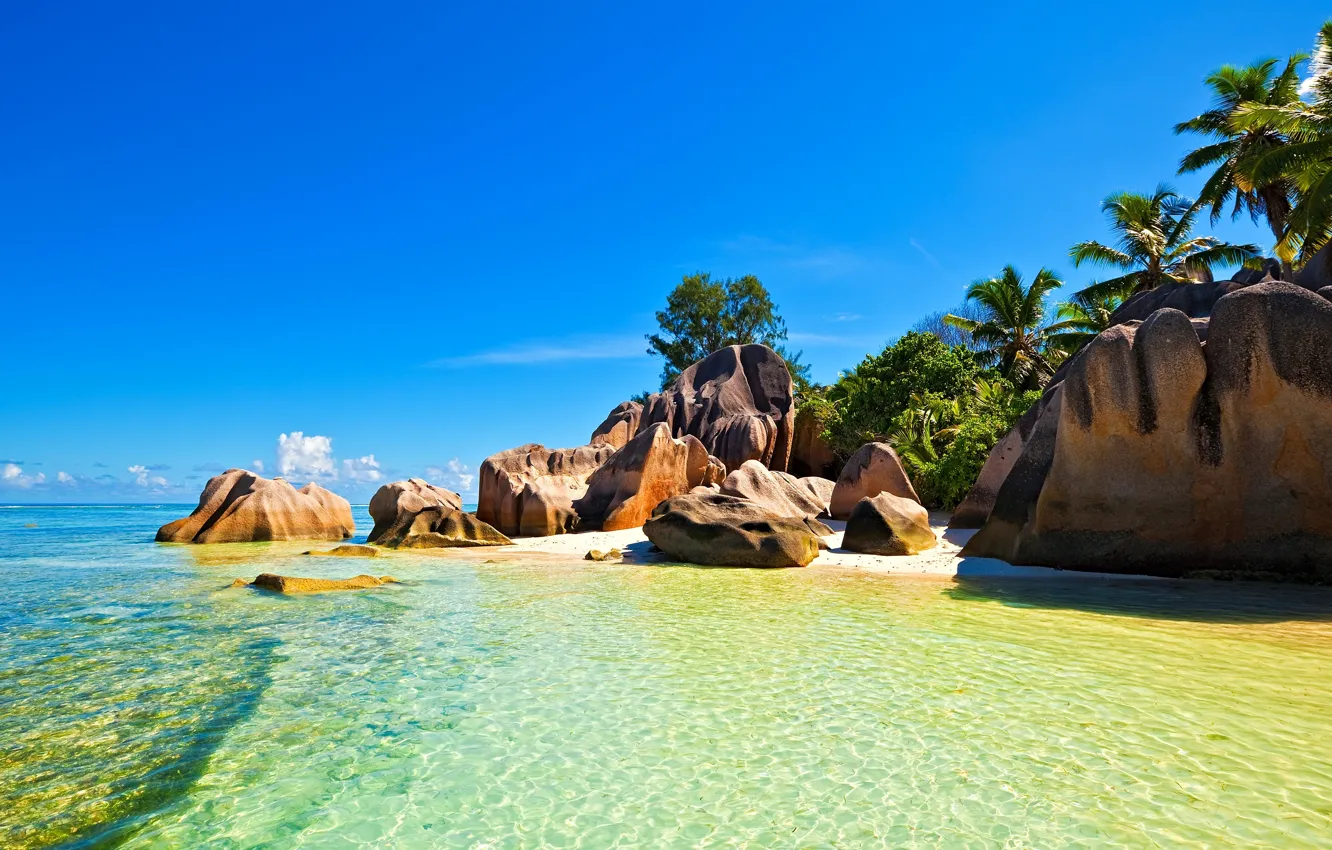 Photo wallpaper sea, beach, stones, palm trees, tropical island