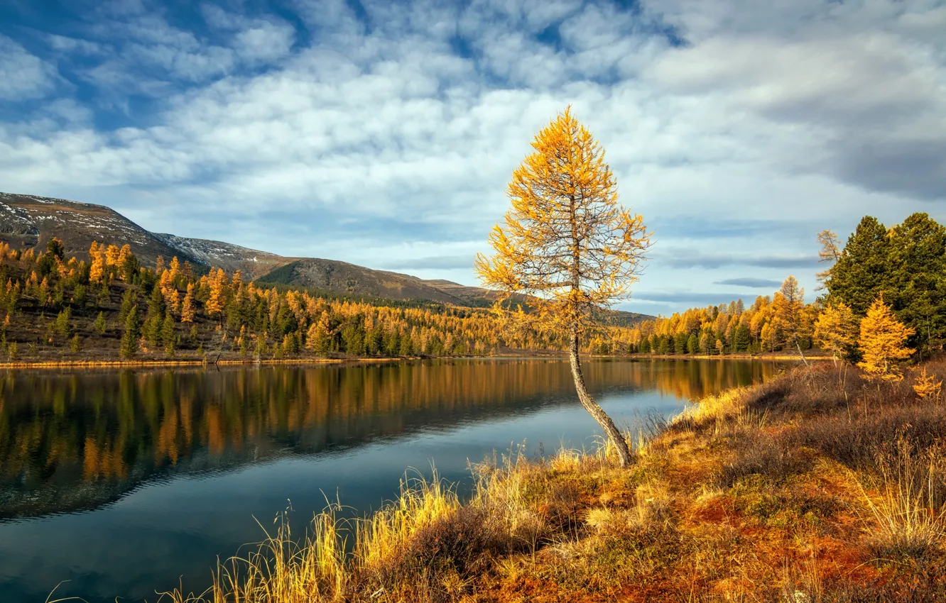 Photo wallpaper autumn, landscape, mountains, nature, lake, Kazakhstan, Кок-Коль