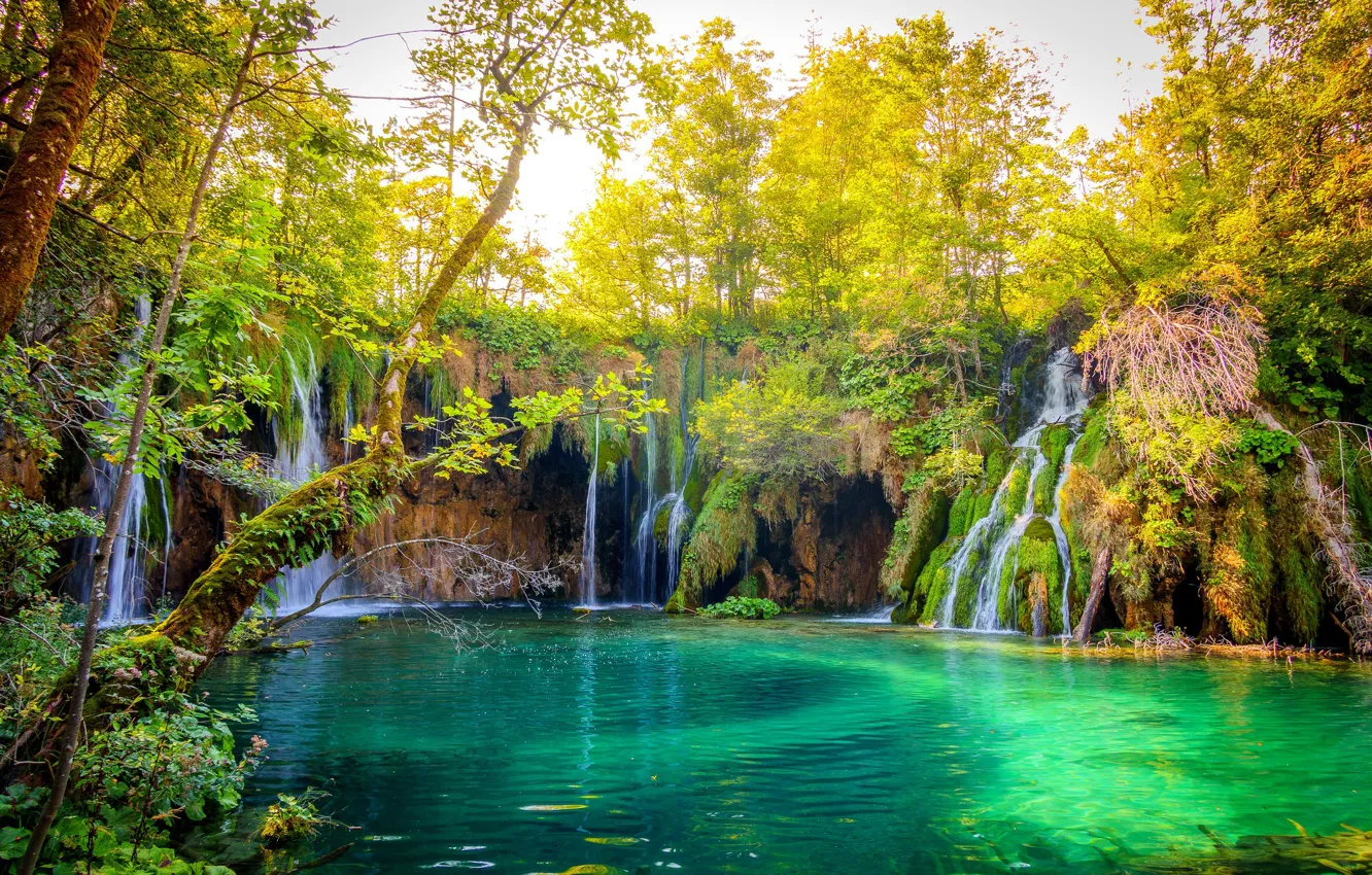 Wallpaper greens, forest, water, the sun, trees, waterfall, jungle images  for desktop, section природа - download