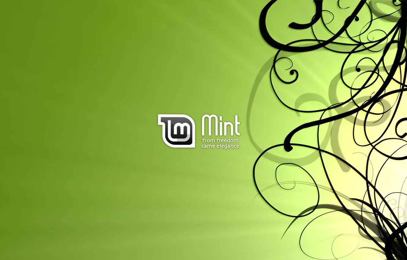 Wallpaper Line Linux Linux Mint Linux Mint Linux Black Lines Images For Desktop Section Hi Tech Download