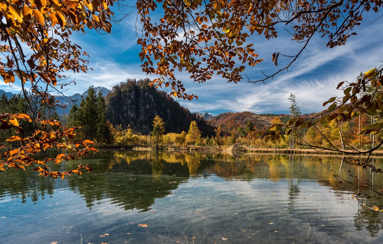 Photo wallpaper autumn, trees, landscape, mountains, branches, nature, lake, hills, Austria, Almsee, Else