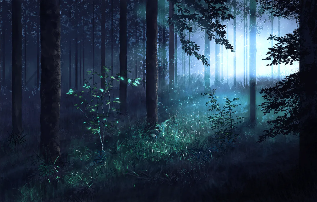 Photo wallpaper forest, trees, morning