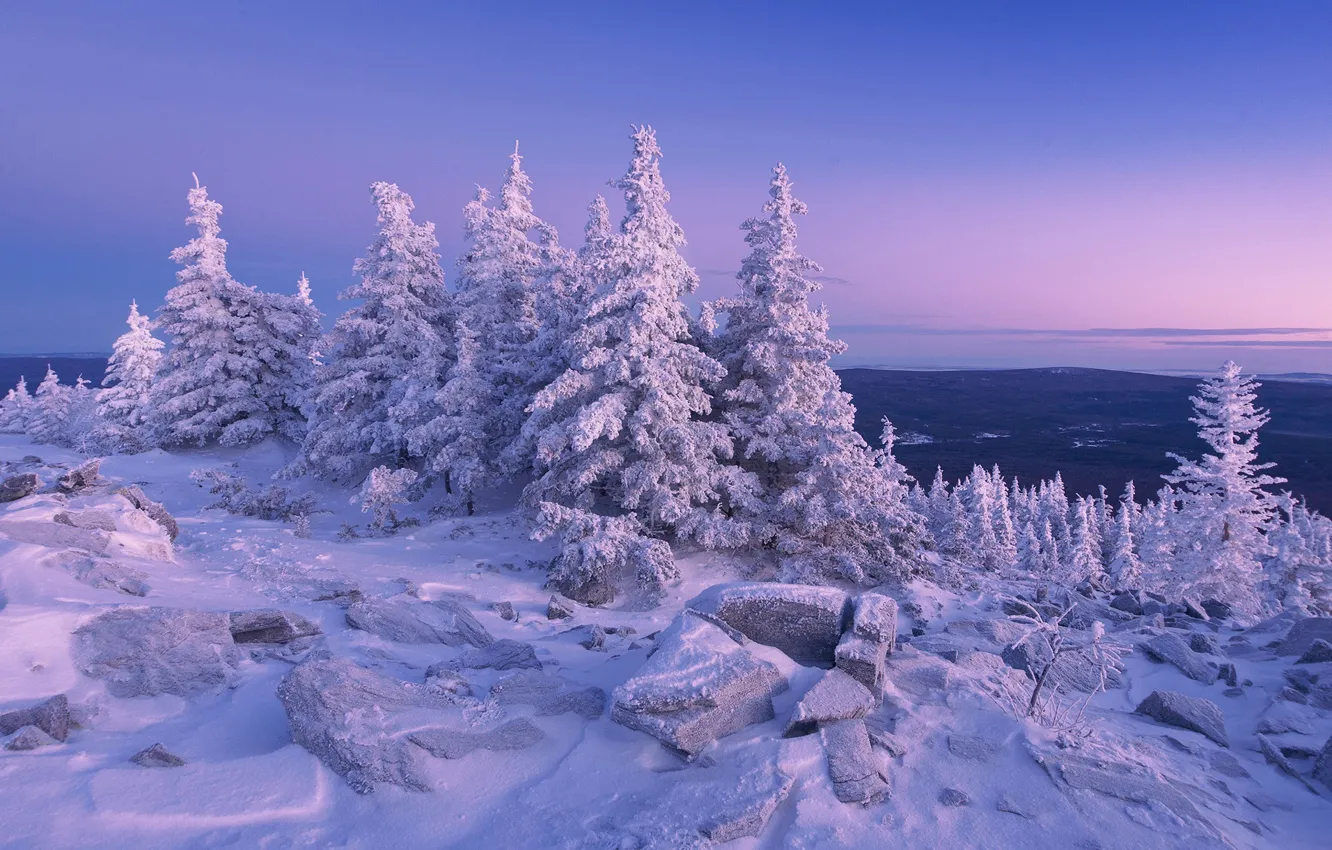 Wallpaper winter, snow, trees, stones, ate, Russia, Ural, The Ridge Urenga  images for desktop, section пейзажи - download