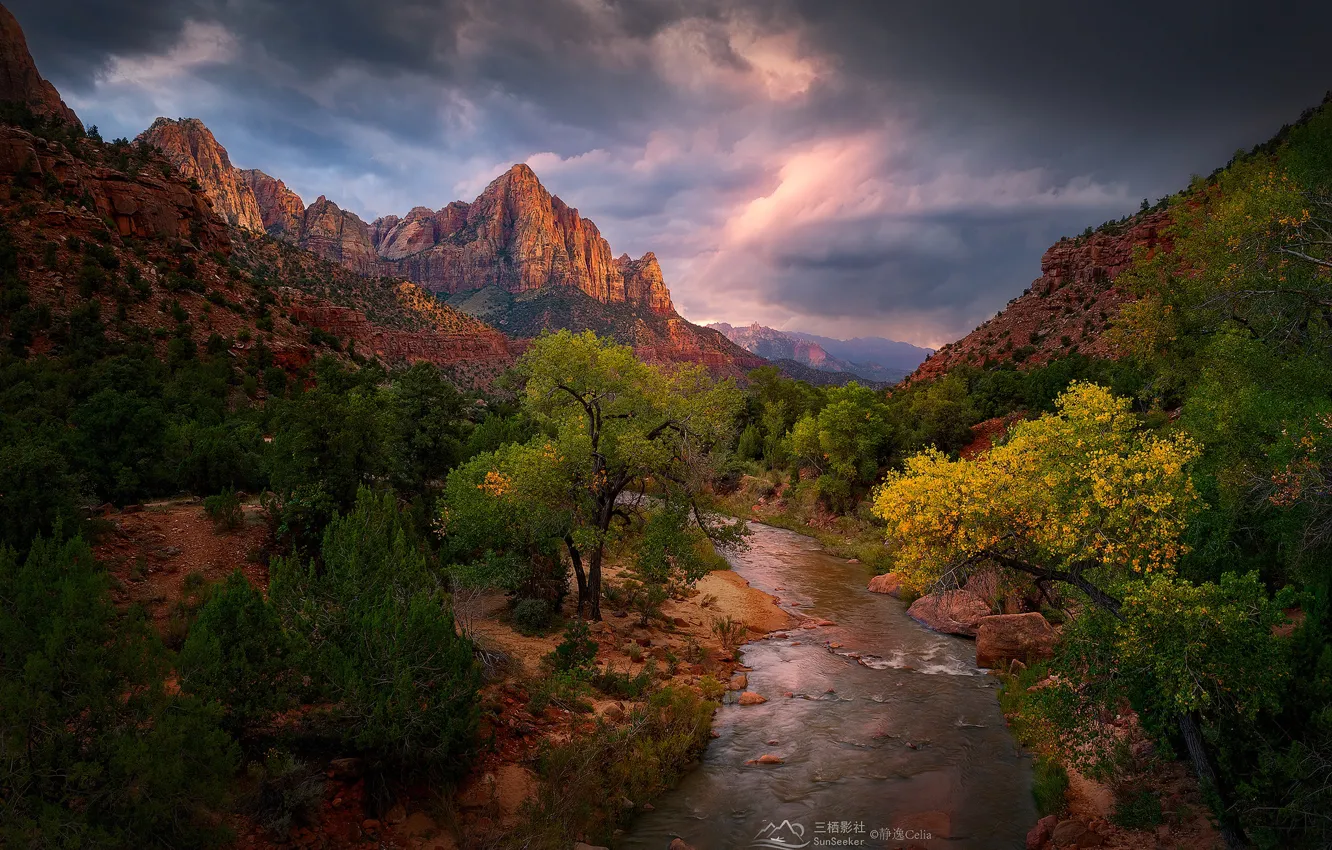 Photo wallpaper the sky, clouds, trees, mountains, clouds, stream, stones, rocks, canyon, Utah, USA, Zion National Park, …