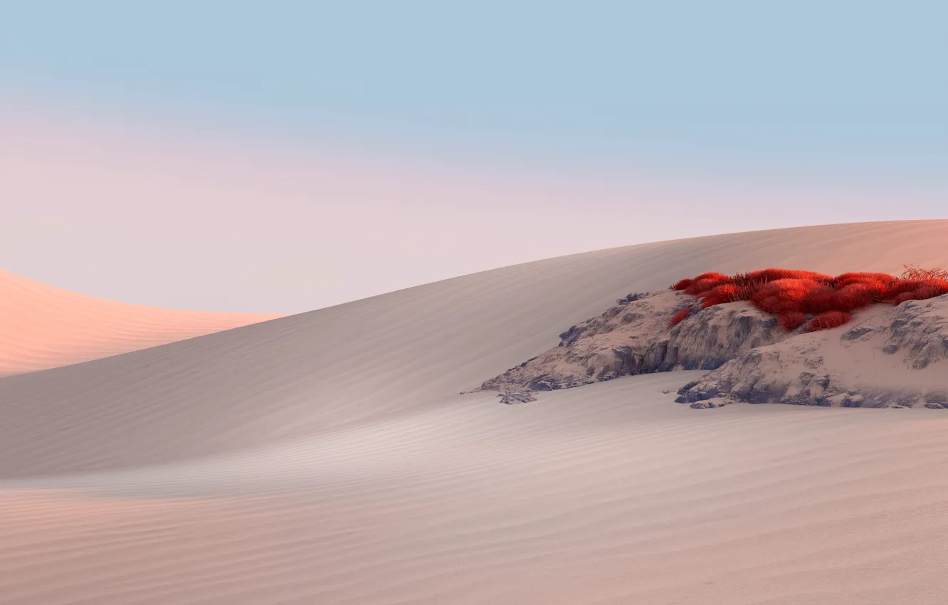 Wallpaper desert, sand, dunes, desert landscape images for desktop, section  пейзажи - download