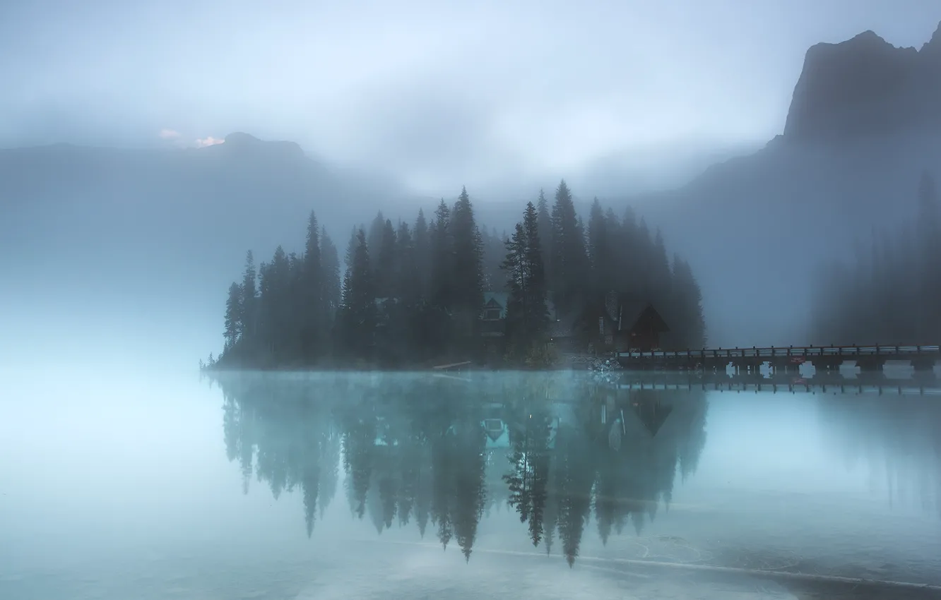 lake-fog-forest-island.jpg