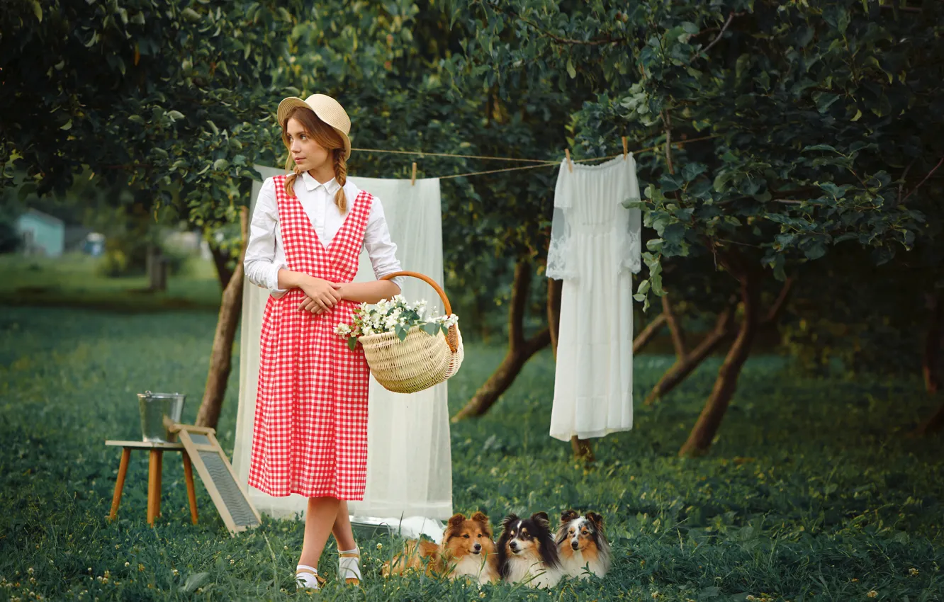 Photo wallpaper dogs, girl, basket, things, hat, dress, Kseniya Kokoreva, Anastasia Dobrovolskaya