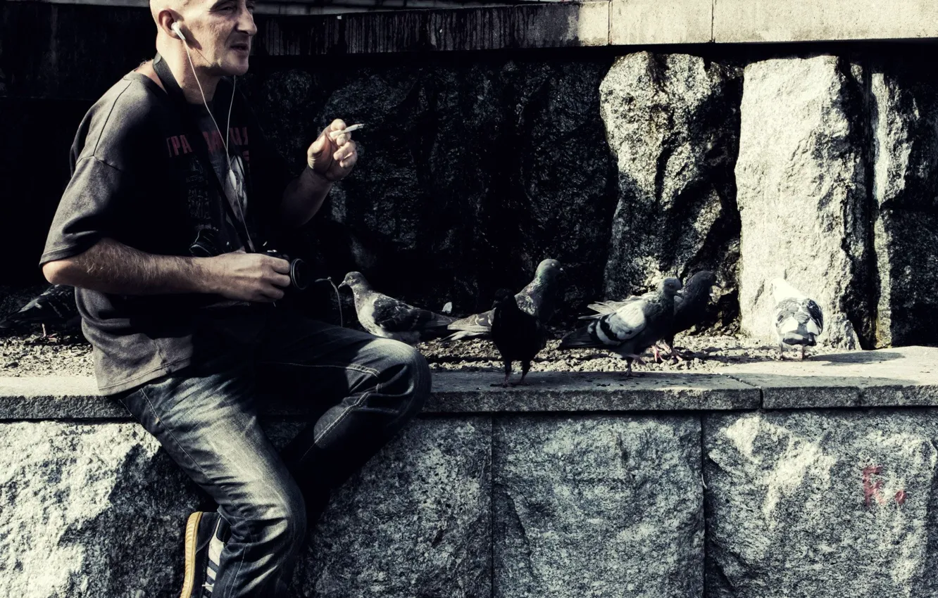 Photo wallpaper birds, Stone, pigeons, Photographer