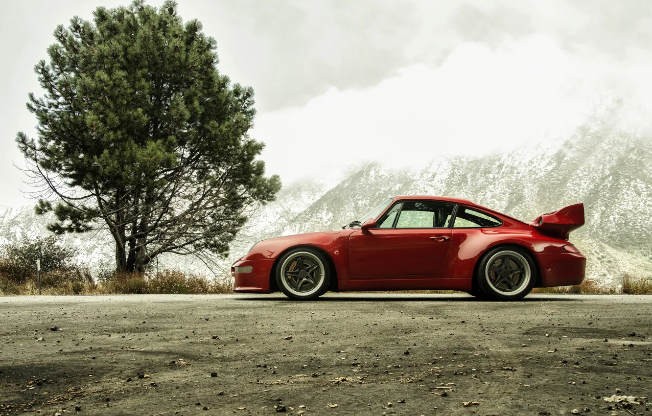 Photo wallpaper red, tree, coupe, 911, Porsche, 993, in profile, 2017, Gunther Plant, 400R Coupe