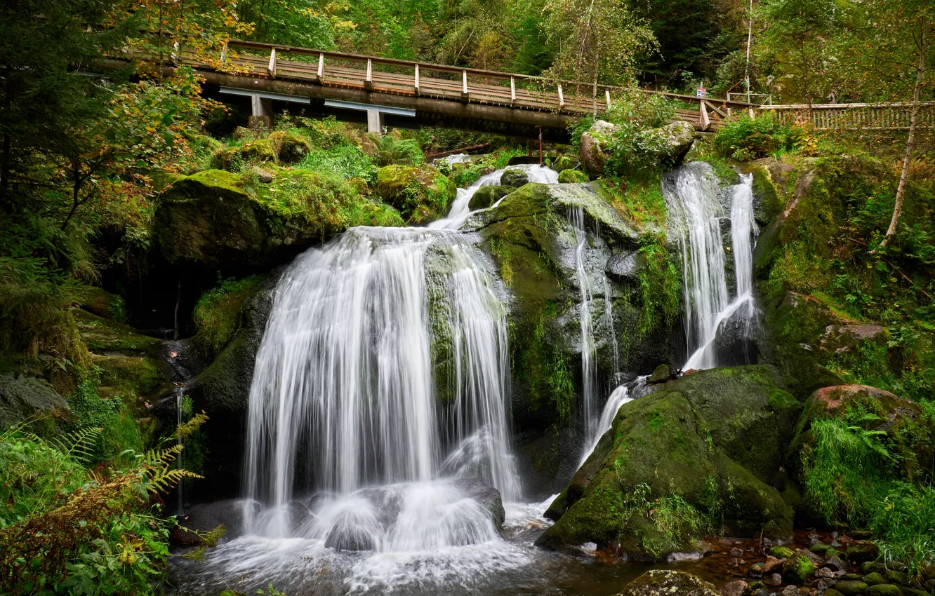 Photo wallpaper bridge, stones, rocks, waterfall