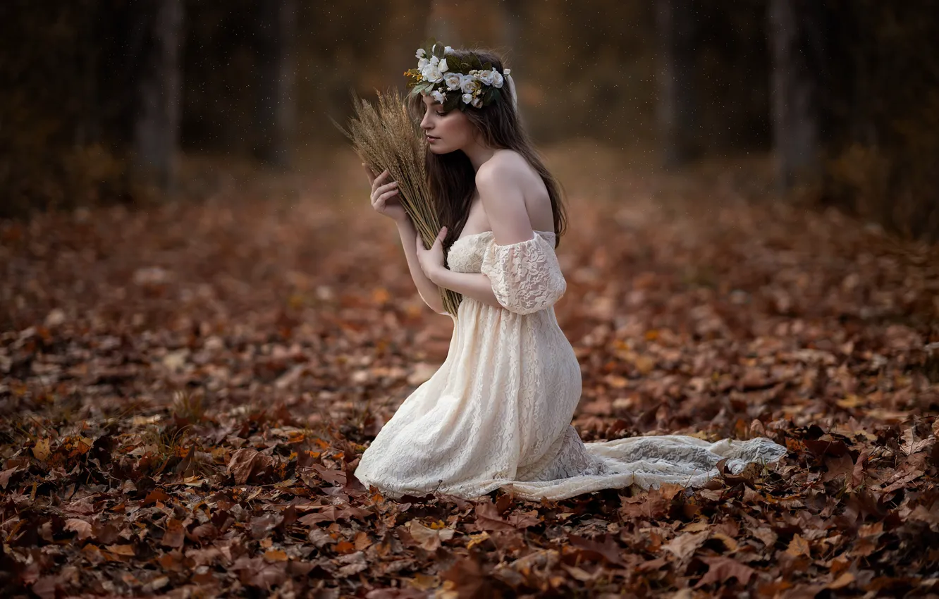 Photo wallpaper autumn, leaves, girl, dress, spikelets, wreath, Sofia
