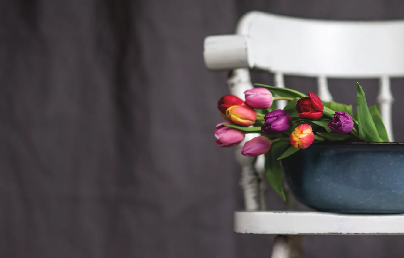 Photo wallpaper background, bouquet, chair, tulips, basin