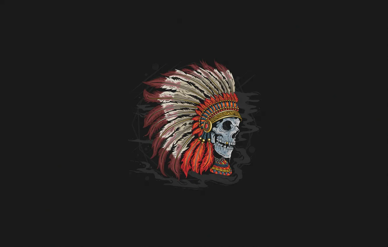 Photo wallpaper Minimalism, Skull, Style, Background, Art, Art, Style, Background, Minimalism, Character, Character, Indian, Roach, A crown …
