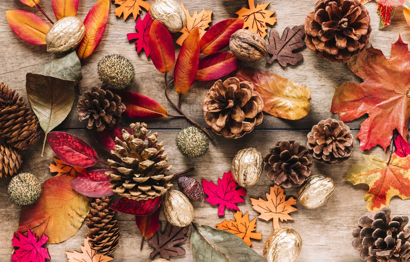 Photo wallpaper autumn, leaves, background, tree, colorful, nuts, bumps, wood, background, autumn, leaves, autumn, maple