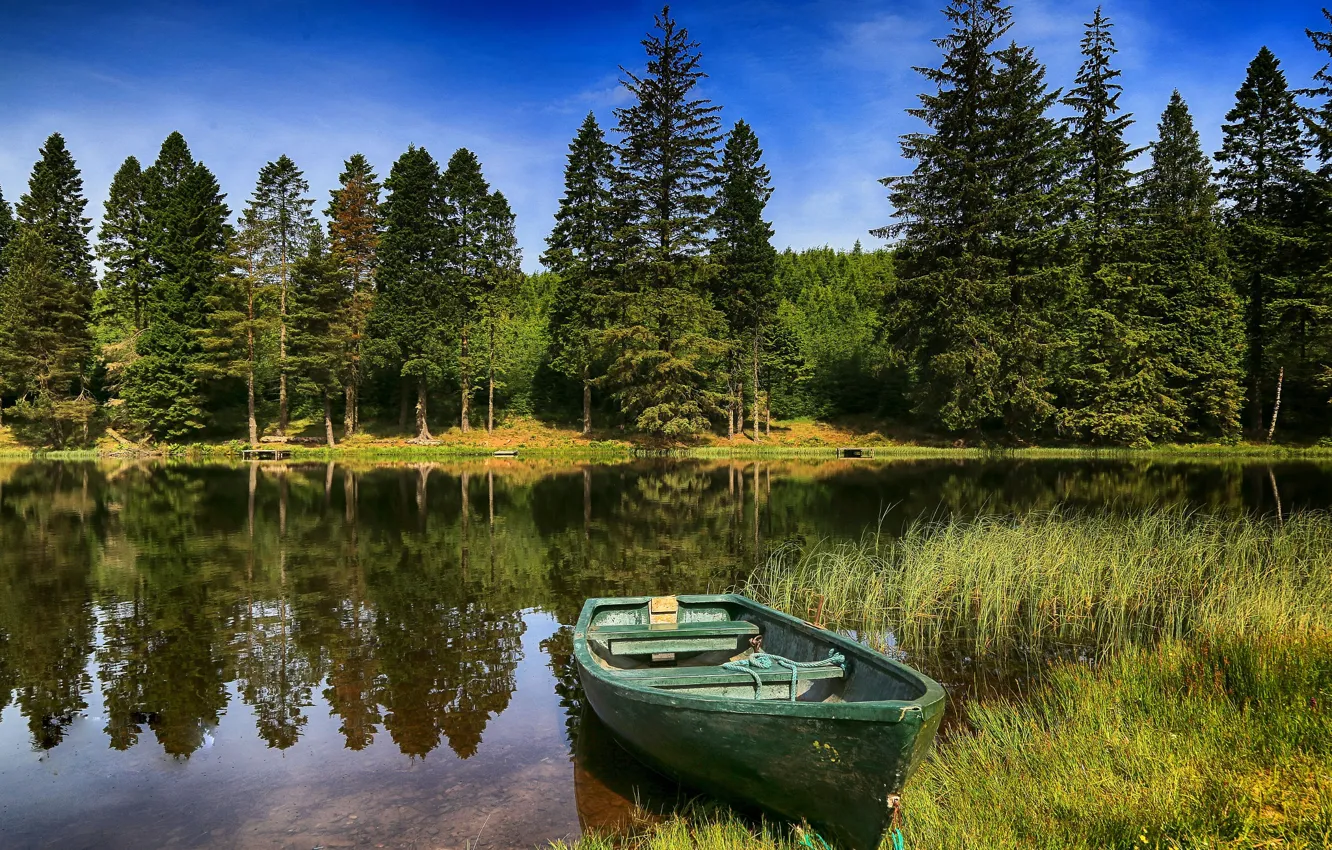 Photo wallpaper forest, summer, trees, reflection, river, boat