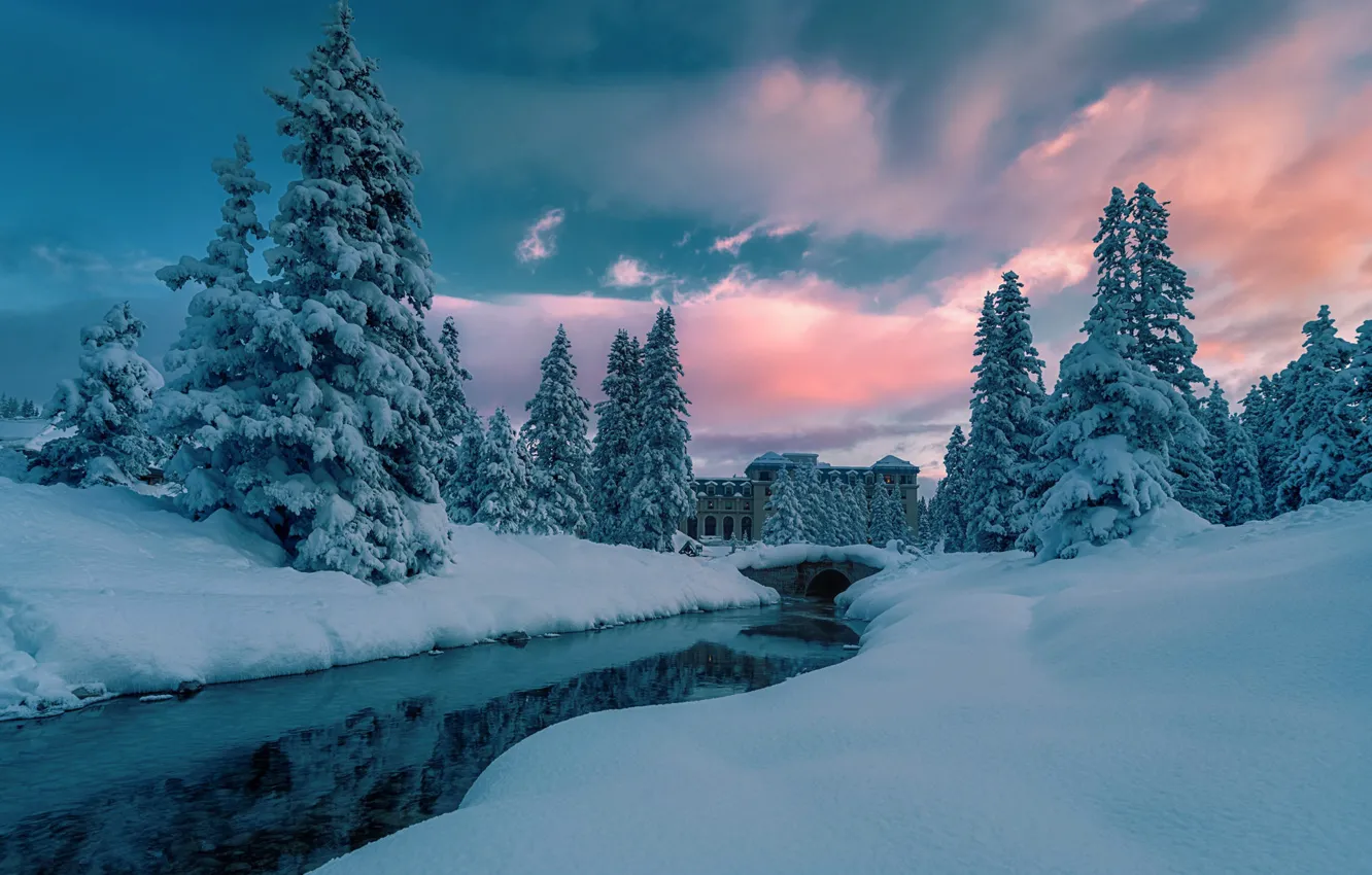 Wallpaper Water, Winter, River, Snow, Morning, Spruce forest images for  desktop, section пейзажи - download