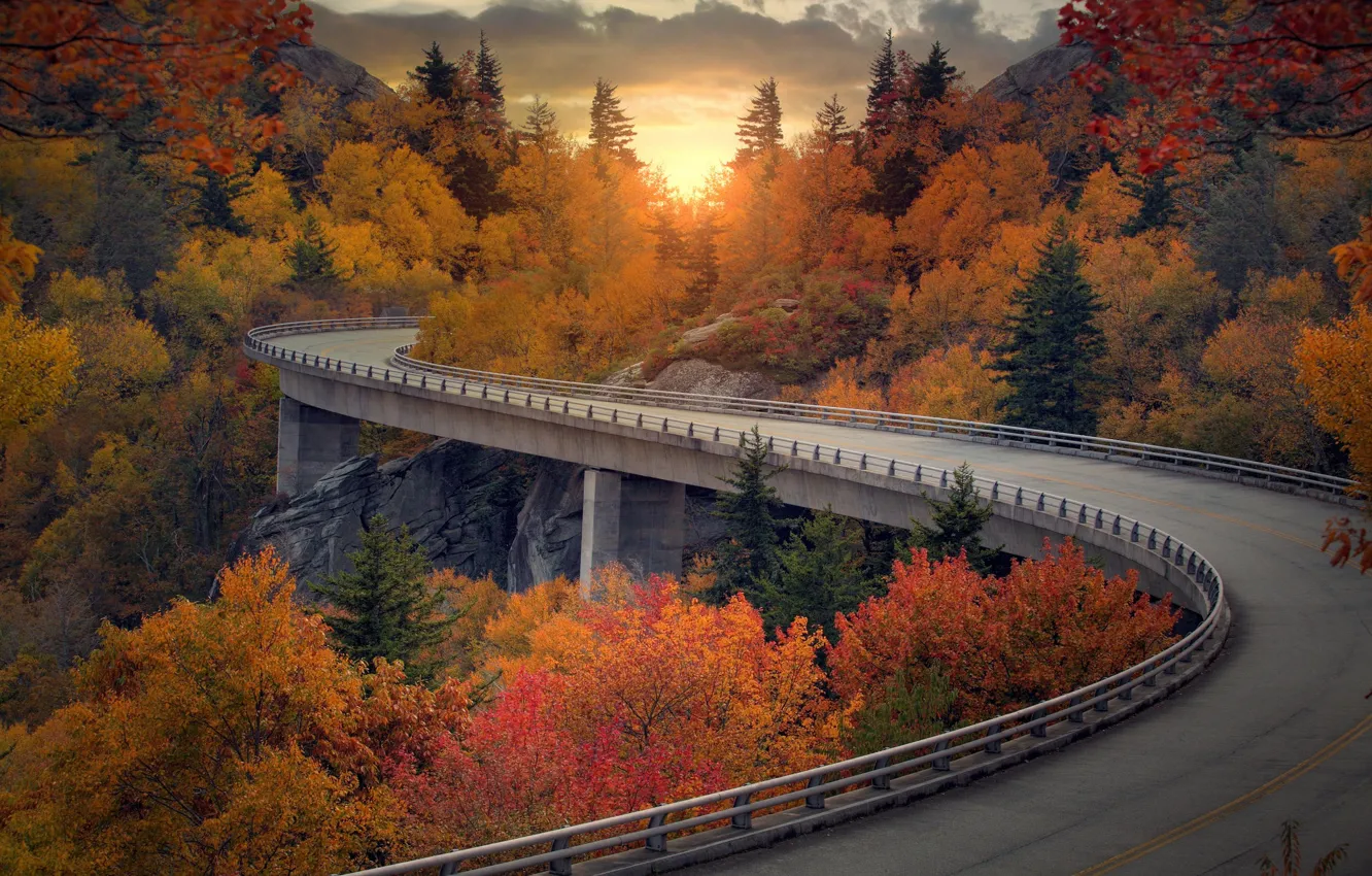 Photo wallpaper road, autumn, forest, bridge