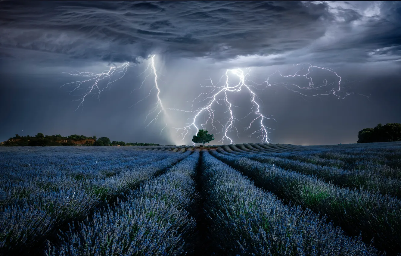 Photo wallpaper the storm, field, landscape, clouds, nature, lightning, lavender