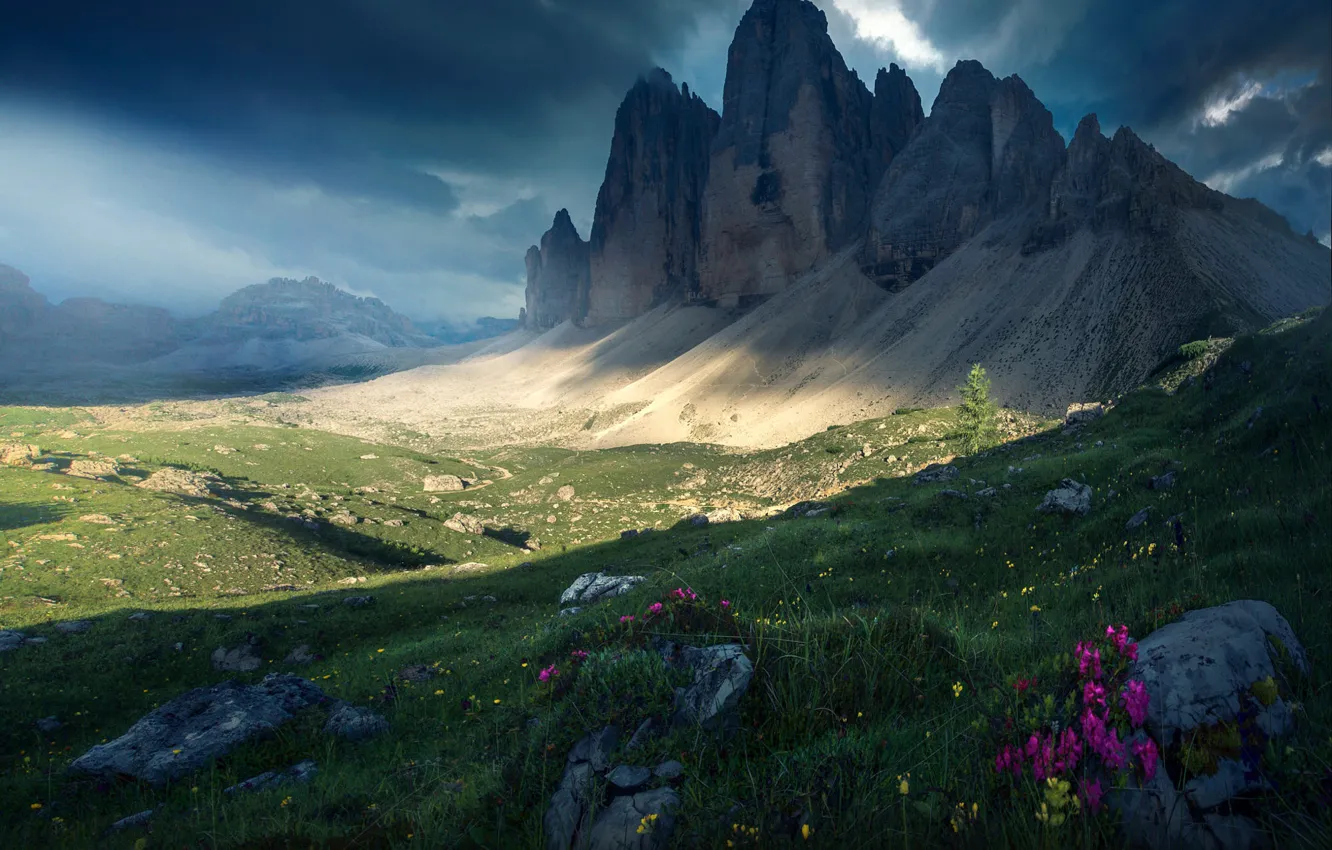 Wallpaper summer, the sky, clouds, light, flowers, mountains, clouds,  stones, rocks, the slopes, meadow, The Dolomites images for desktop,  section пейзажи - download