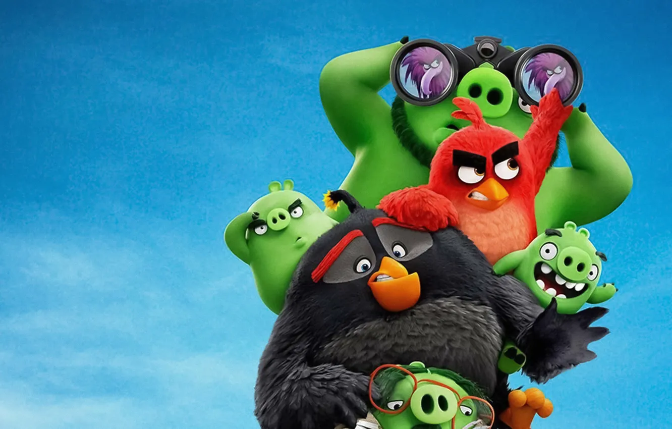 Wallpaper birds, cartoon, binoculars, pigs, Movie, The Angry Birds images  for desktop, section фильмы - download