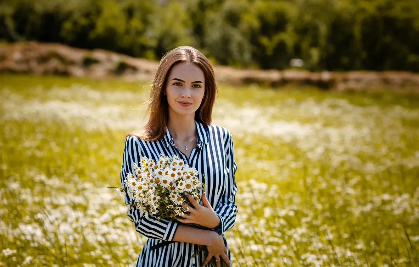 Wallpaper Look Smile Chamomile Girl Alexey Gilev Images For Images, Photos, Reviews
