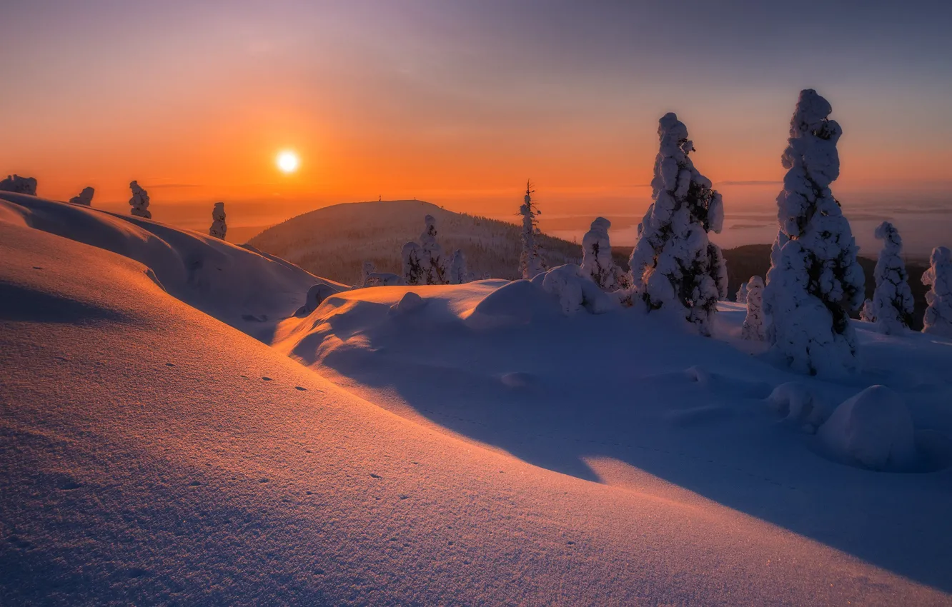 Photo wallpaper winter, snow, trees, sunset, mountain, the snow, Russia, Murmansk oblast, Mountain Hair