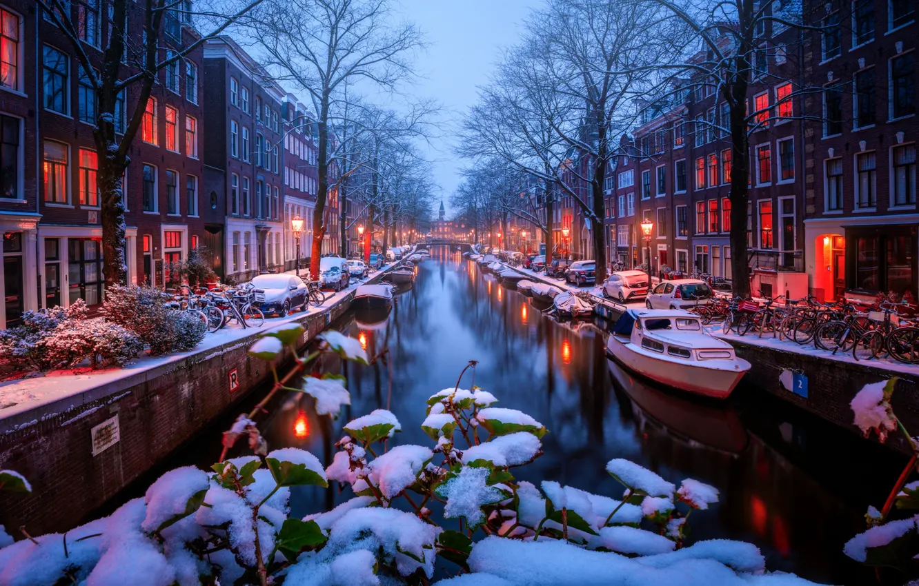 Photo wallpaper snow, trees, transport, channel, Amsterdam - My Home
