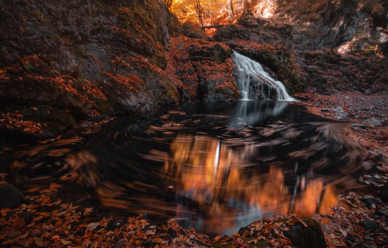 Photo wallpaper autumn, forest, nature, stones, waterfall