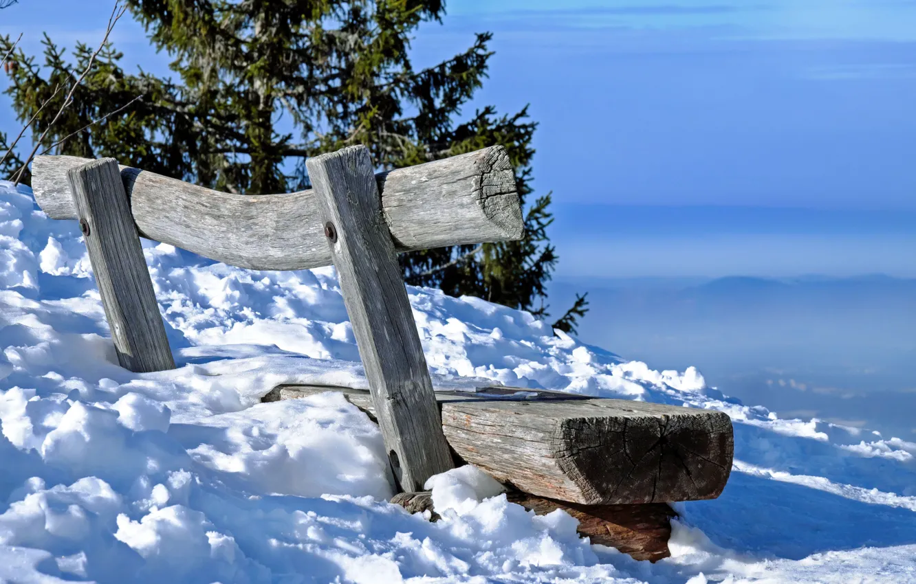 Photo wallpaper winter, snow, spruce, bench